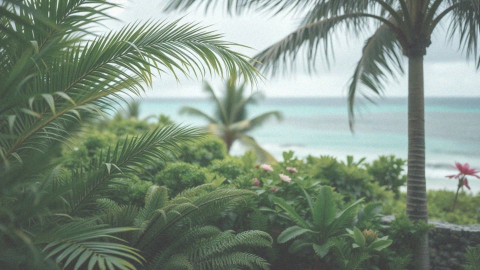 Kiedy trwa pora deszczowa na Mauritiusie?